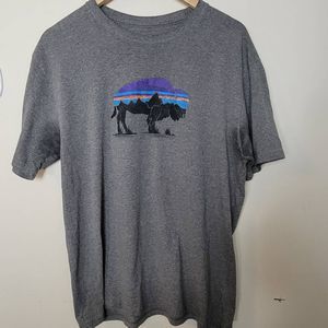 Patagonia Men's Large Fitz Roy Bison Responsibili Tee Organic Cottn Crew Neck Sh